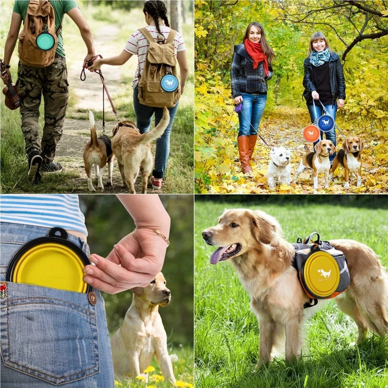 Collapsible Pet Silicone Dog Bowl, Pet Bowl Dishes with Carabiner Pet Products