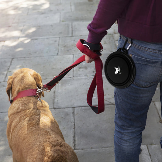 Collapsible Pet Silicone Dog Bowl, Pet Bowl Dishes with Carabiner Pet Products